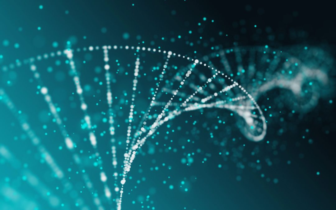 Le molecole alimentari agiscono sul DNA. Dal cibo al DNA. La genomica nutrizionale.