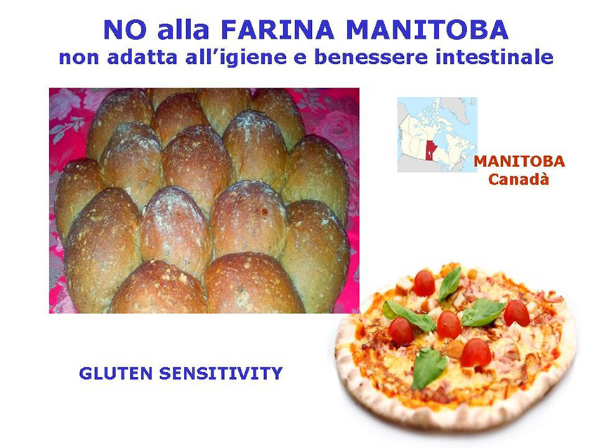farina-manitoba